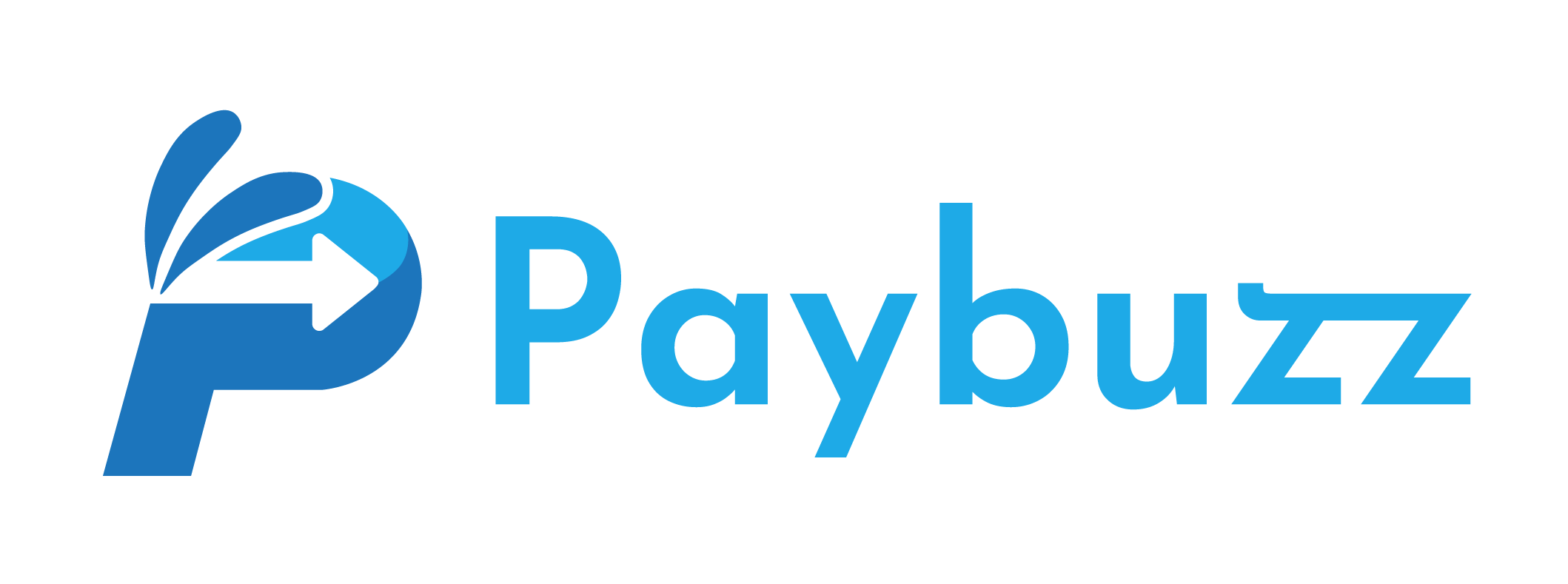 Paybuzz Logo